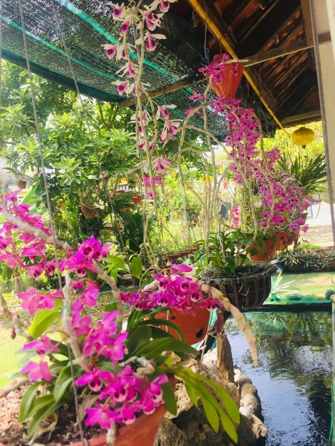 Do River Homestay Hoi An Dış mekan fotoğraf