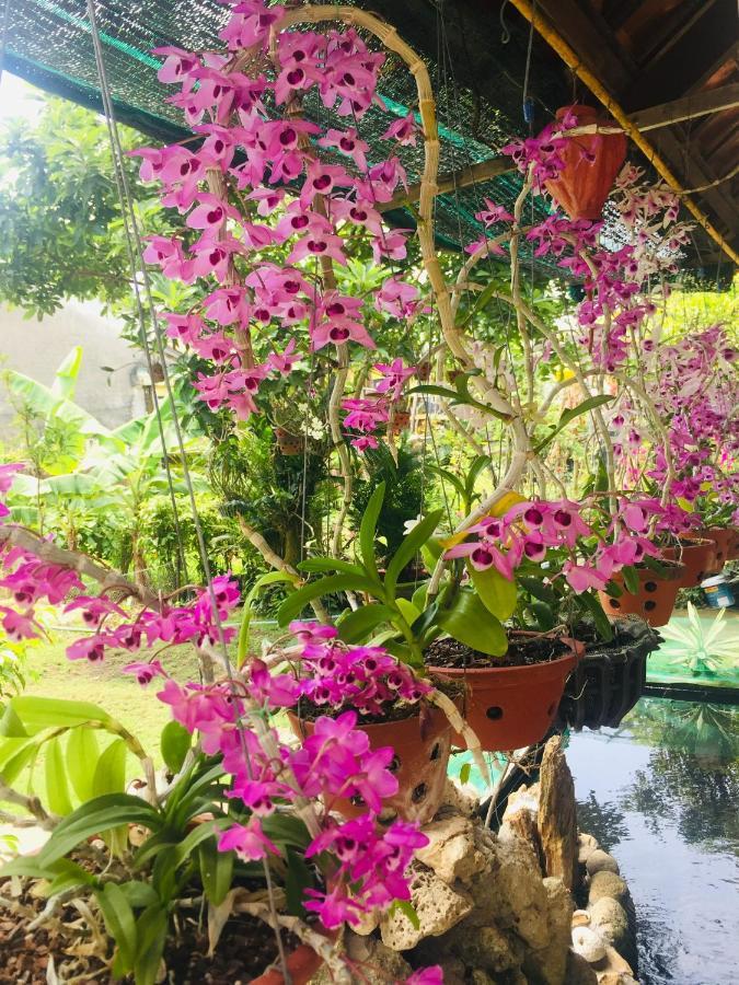 Do River Homestay Hoi An Dış mekan fotoğraf