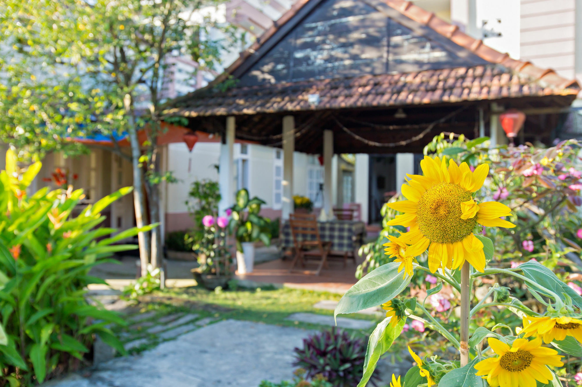 Do River Homestay Hoi An Dış mekan fotoğraf